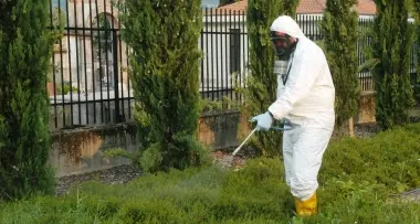 Al via la caccia alla zanzara tigre
