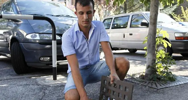 Una task force contro la zanzara tigre