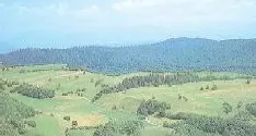 I prati di Prada invasi da ragazzini in moto / SEGNALA
