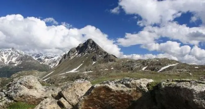 Graziato l’orso emigrato in Svizzera. Ma c’è l’ultimatum