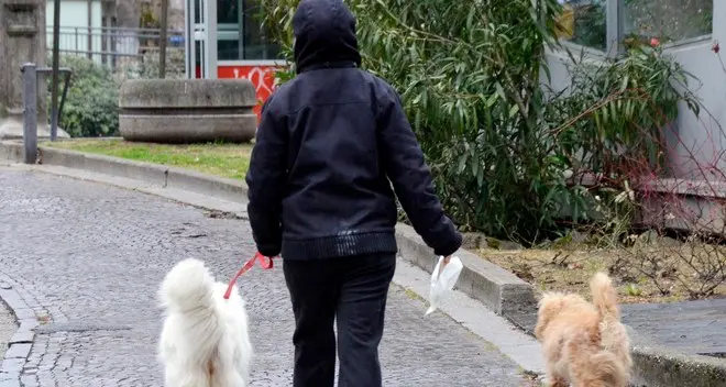 Incivili padroni dei cani, ecco i vigili in borghese
