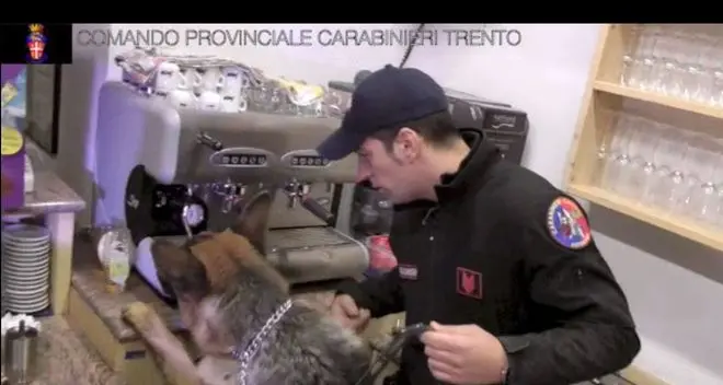Spaccio in val di Fiemme, nuovi sequestri