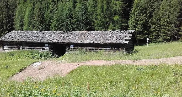 In Primiero spariscono le zolle di erba