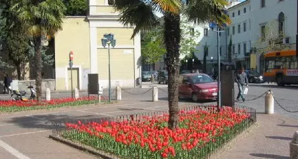 Rovereto, le aiuole saranno sponsorizzate