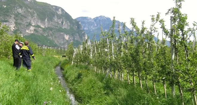 Olio nel fosso, 30mila euro di bonifica