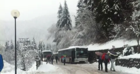 Taxibus, la Finanza da Trentino Trasporti