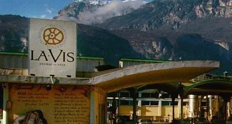 LaVis, pronti 4 milioni. E un tutor affianca il cda