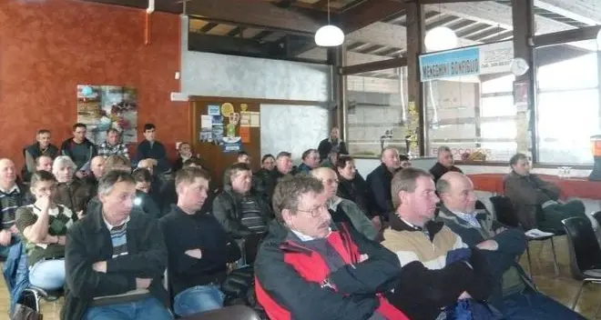 Allevamento, professione per giovani