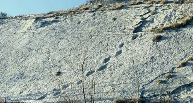 Le orme dei dinosauri sono dimenticate