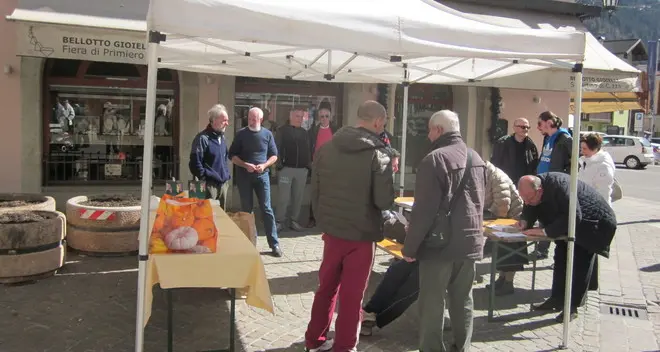 Comune unico a Primiero raccolte 250 firme in 2 ore