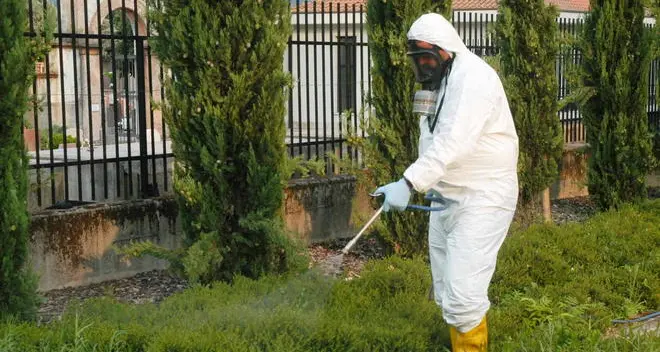 Attenti alla zanzara tigre è sempre più presente