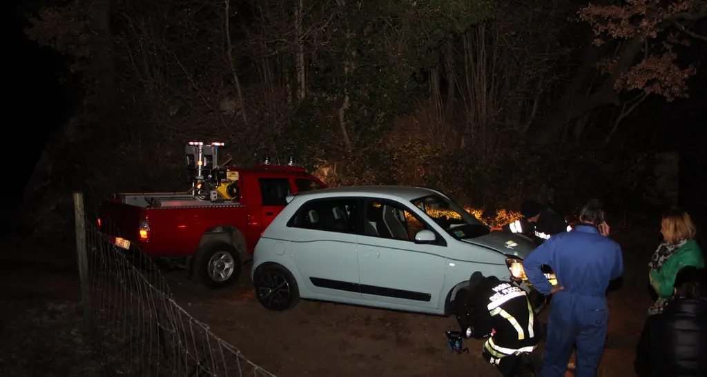 Scontro fra un'auto e un capriolo