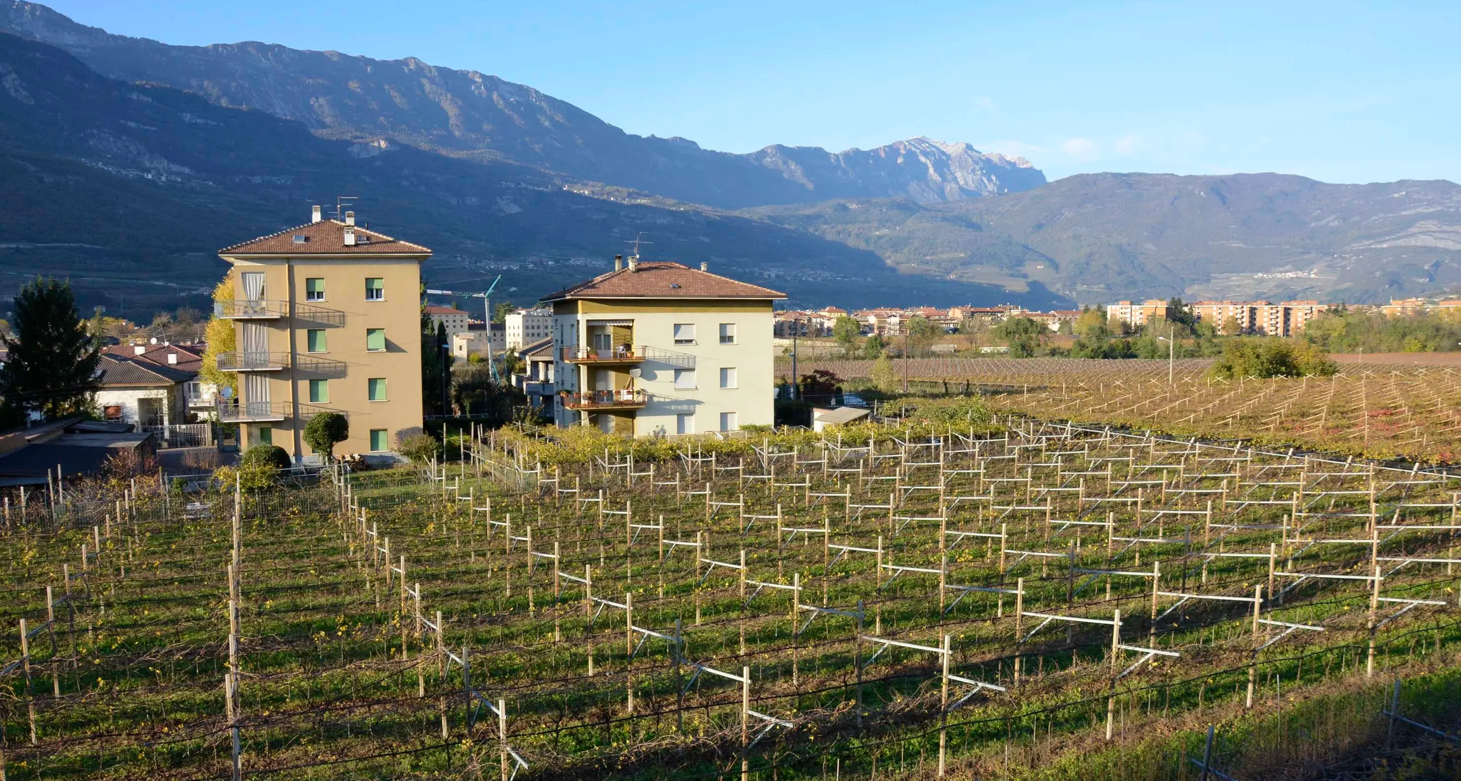 Vino, arriva la nuova doc delle Venezie