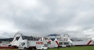 «Basta con gli animali al circo»