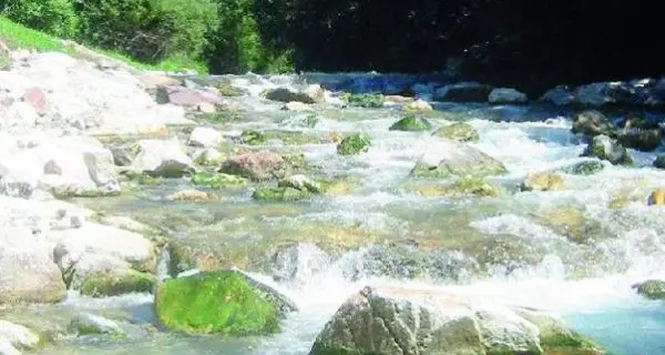 Viene messo in pensione e lui tenta il suicidio