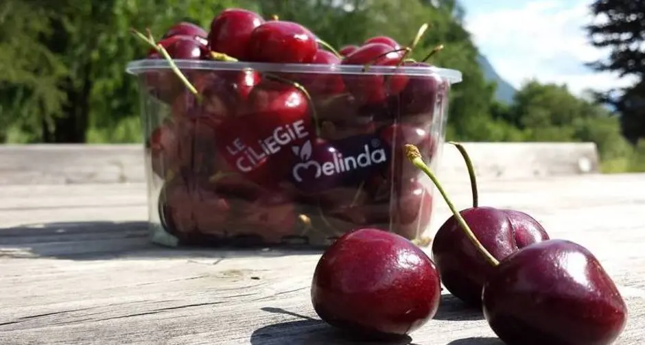 Melinda ora lancia anche i piccoli frutti
