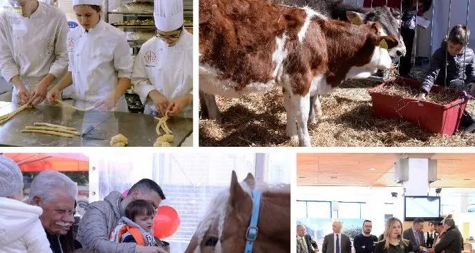 Mostra dell'agricoltura, gli animali conquistano i piccoli