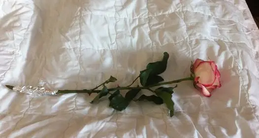 Elena non ce l’ha fatta: «Ciao, piccolina...»