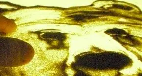 Un week end natalizio: eventi per tutti i gusti
