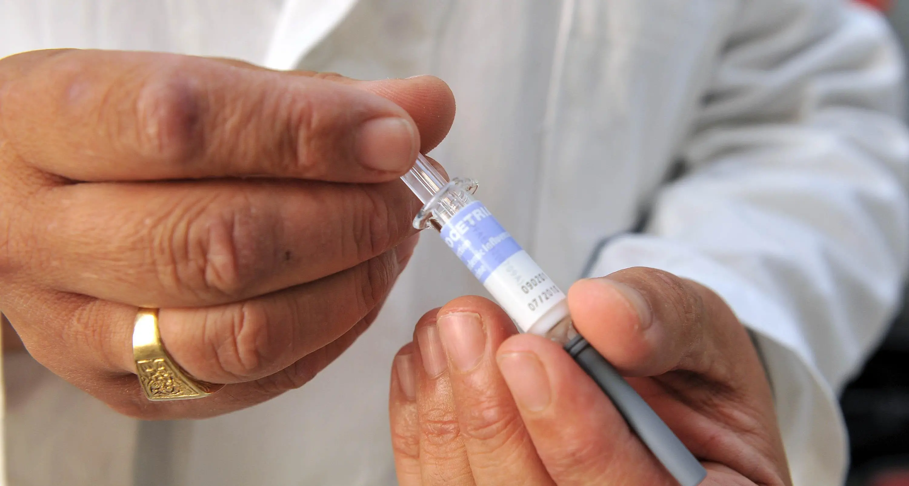 Mucca pazza, bloccato in Trentino un lotto di farmaco plasmaderivato