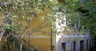 Mici abbandonati dentro un cartone