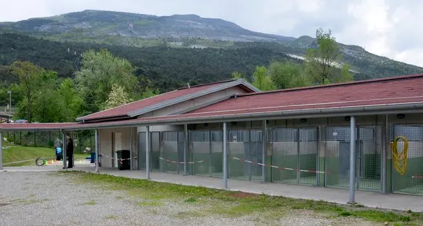 Se ti scappa il micio può servirti un mutuo