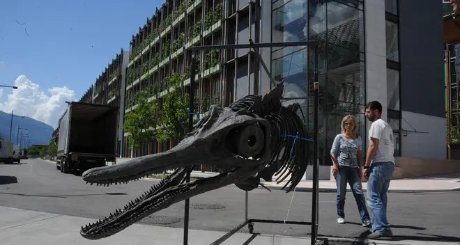 Al «Muse» di Trento arrivano i dinosauri