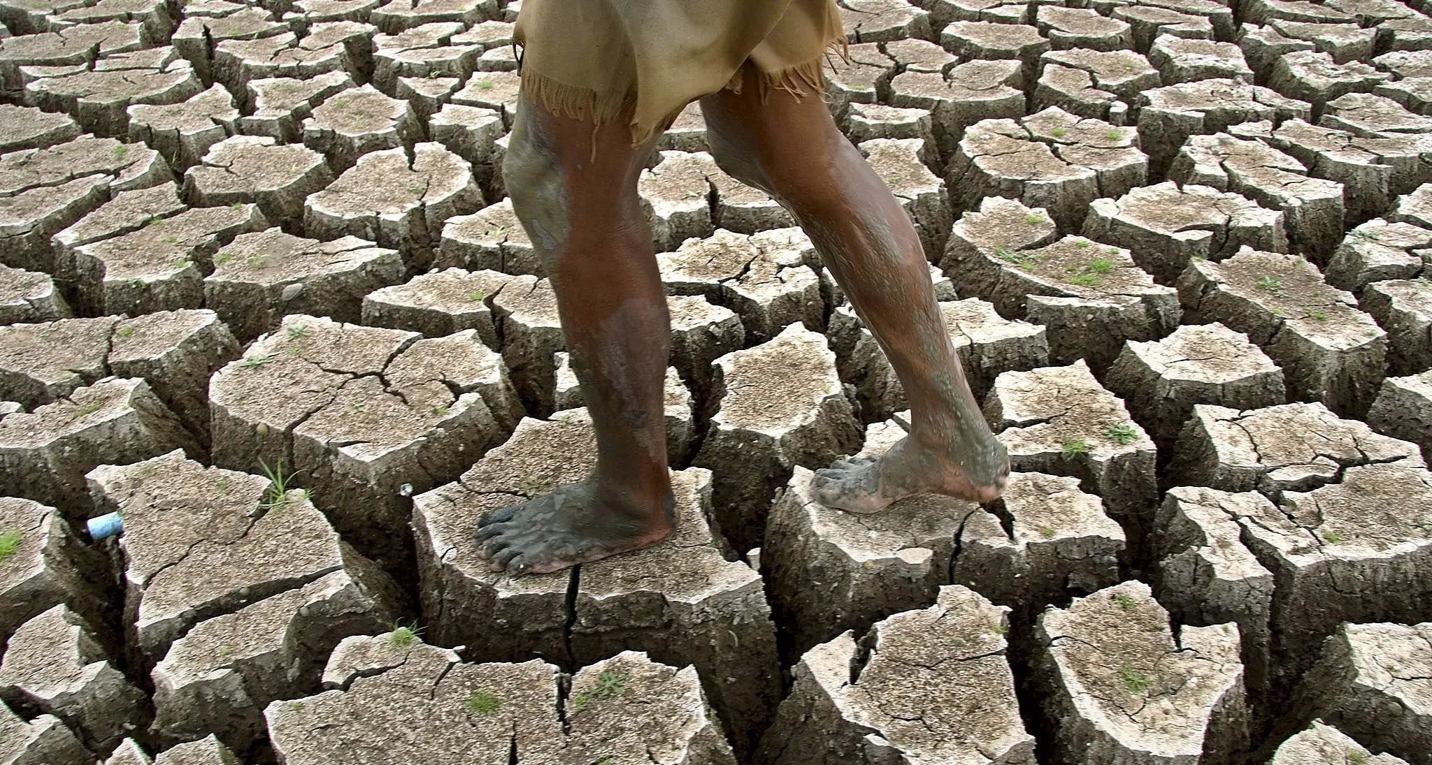 Clima e agricoltura, 70 esperti a confronto
