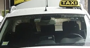«Il nostro cane travolto e trascinato da un taxi»