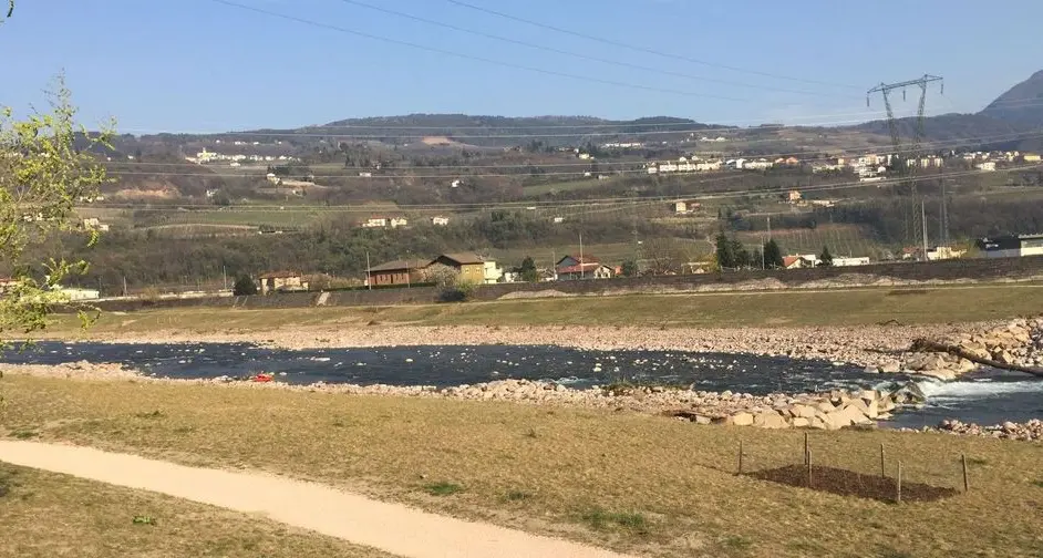 Nuovo allarme bocconi lungo l’Avisio