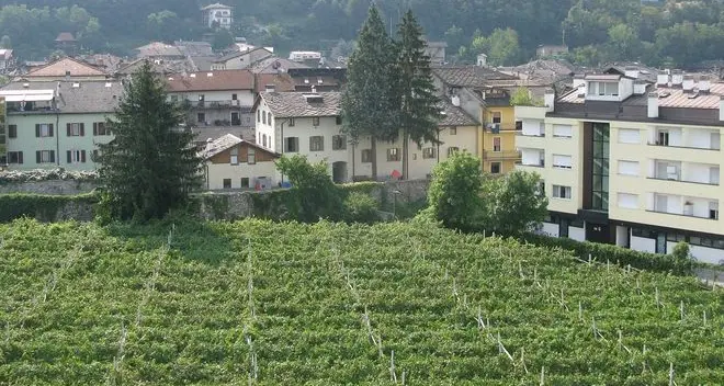 «L’Orto Fontanari non diventerà un’altra ex Cederna»