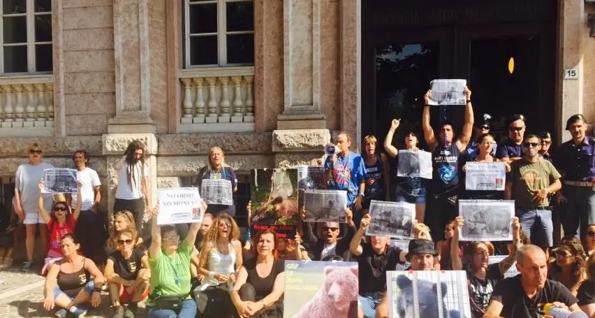 Blitz degli animalisti in Provincia