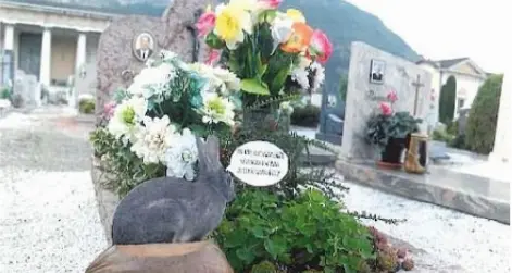 E al cimitero spunta il coniglio... finto