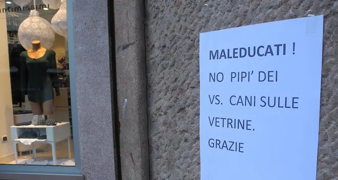 Riva, i commercianti e la battaglia della pipì