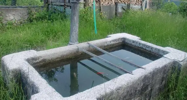 Vallarsa ha perduto la guerra del pesce rosso