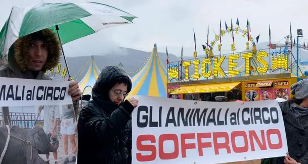 Protesta animalista contro il circo