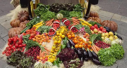 Agricoltura bio, è boom in Trentino