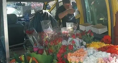 Camorra, il racket dei fiori a Trento