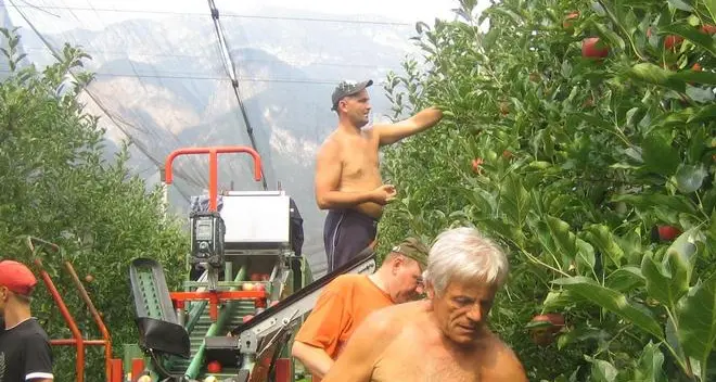 I nuovi imprenditori? Sono over 50