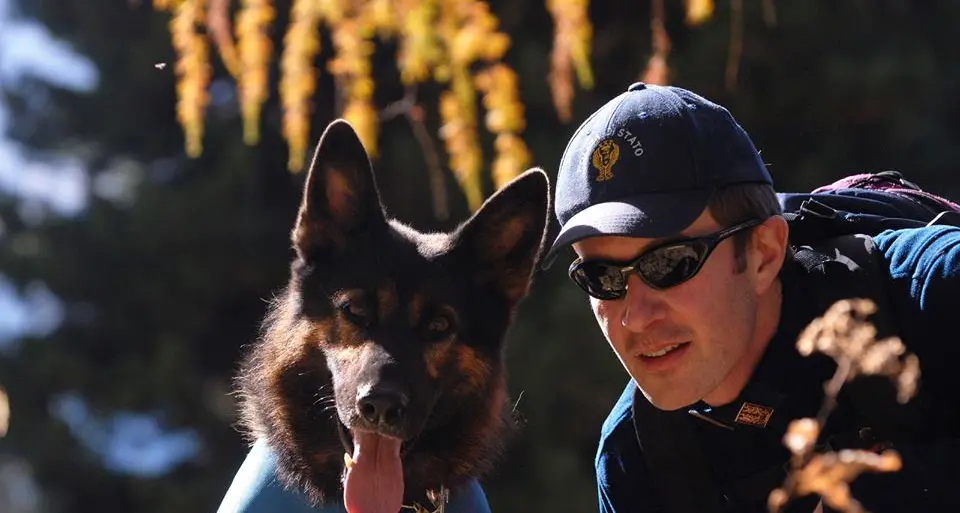 I cani della polizia salvano un'anziana malata di Alzheimer