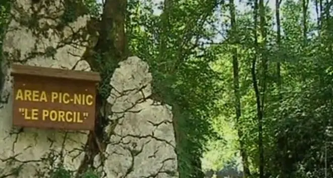 Giovane muore dopo l’accoltellamento in un’area pic nic
