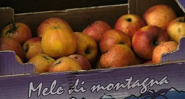 Il Trentino fa rima con mele e vino
