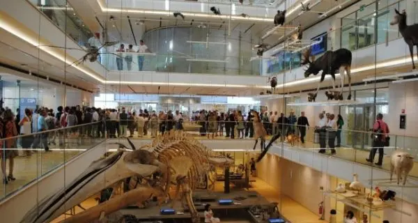 Pasquetta: pioggia in Trentino, folla nei musei