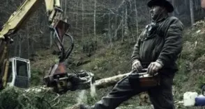 «Ecco le ultime rockstar della foresta di Piné»
