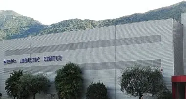 Arcese preso di mira dai gabbiani