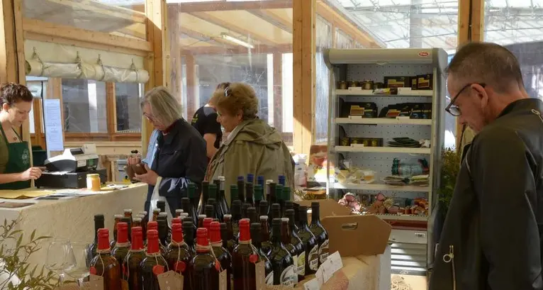 Il futuro del vino? Biologico e a tavola anche lo spumante