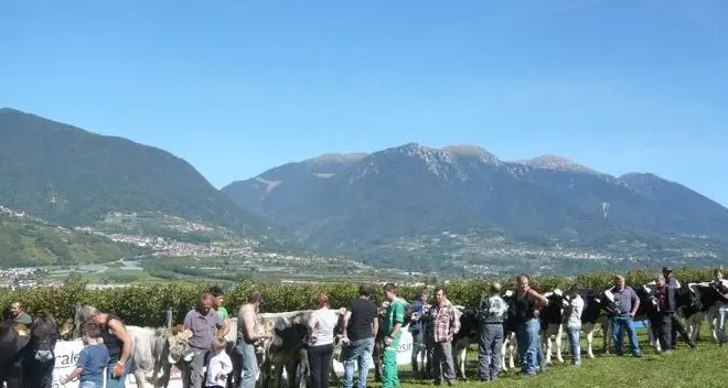 L’allevamento è nelle mani dei giovani