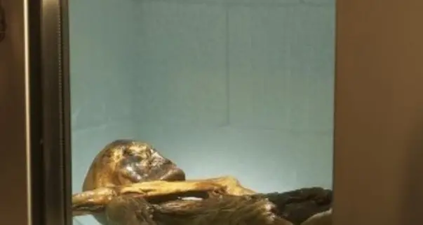 La mummia del Similaun sbarca al cinema come Iceman