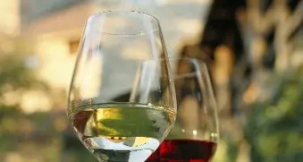 Vini biologici, produzione raddoppiata