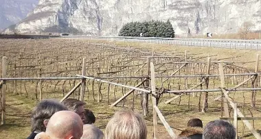 Biodigestore, il comitato resiste